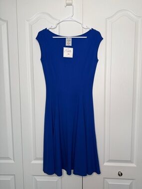 🇨🇦 Palette Ewa Blue A- line swing dress with pockets